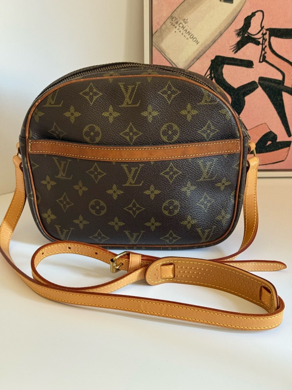 Louis Vuitton 💫 Senlis Vintage Monogram Crossbody Camera Bag